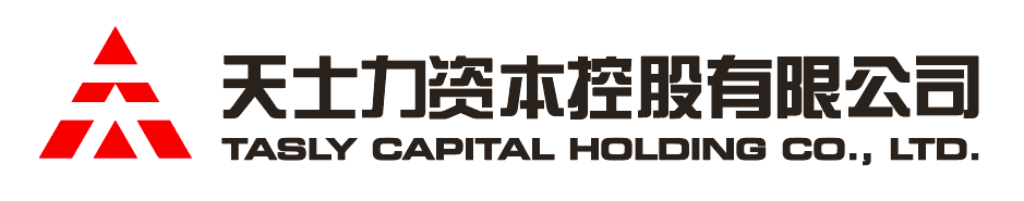 九五至尊VI资本控股有限公司